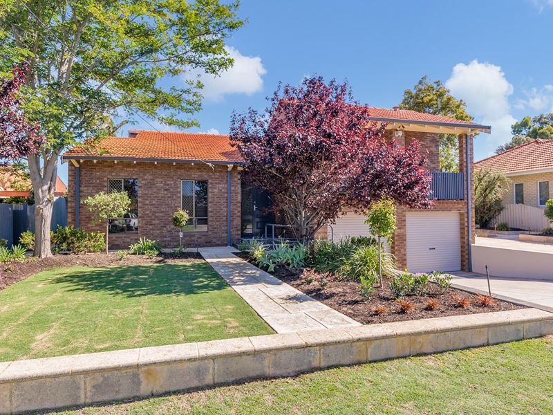 8 Bolger Place, Booragoon WA 6154