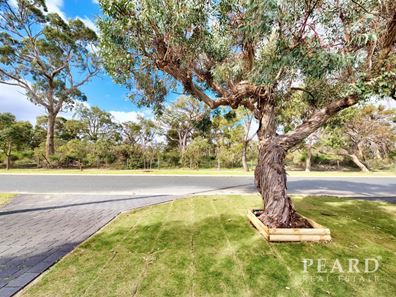 11A Maitland Road, Balga WA 6061