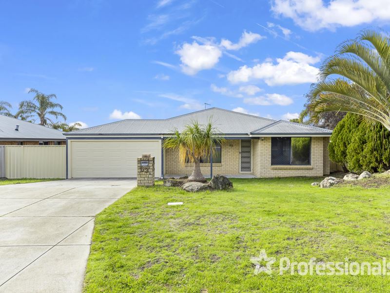 63 Celadon Loop, Banksia Grove WA 6031