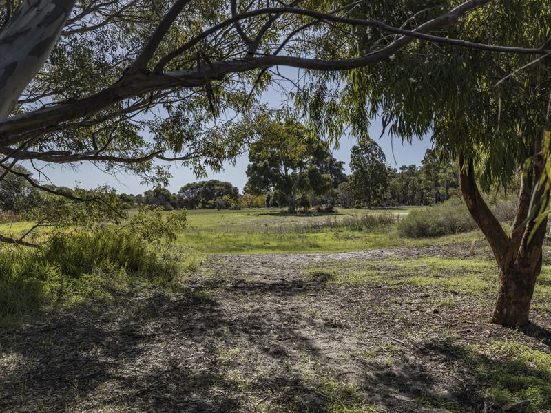 97 Scenic  Drive, Wanneroo