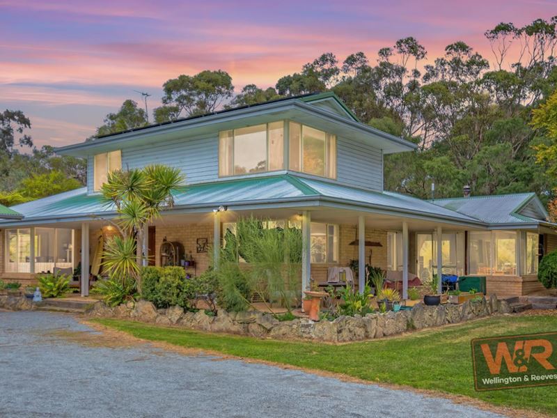 91 Elphinstone Road, Robinson