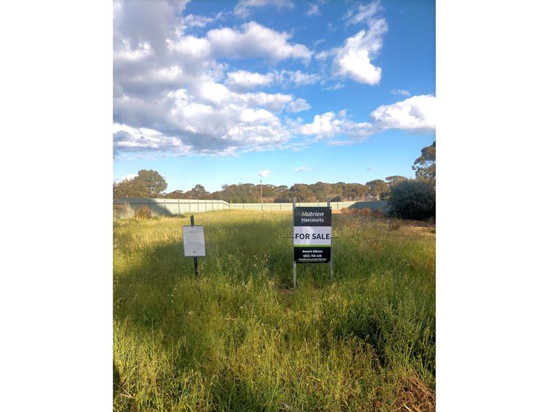 501 Leake Street, Doodlakine