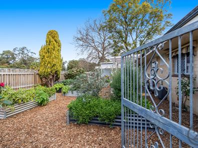 1 Elatine Place, Pinjarra WA 6208