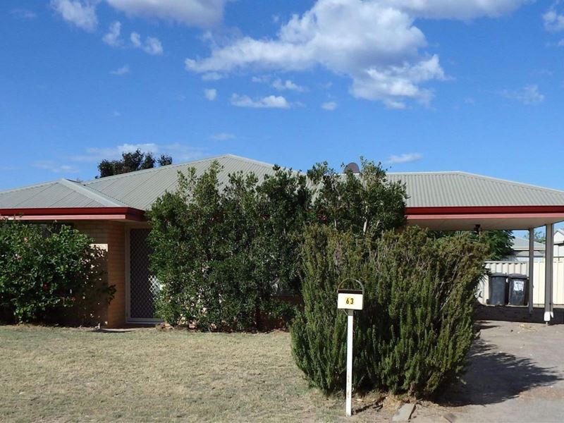 63 Kultown Drive, Waggrakine WA 6530