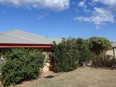 63 Kultown Drive, Waggrakine WA 6530