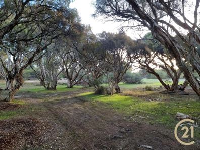 Lot 8 Lowline Way, Barragup WA 6209