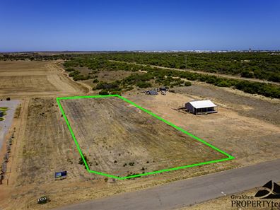17 Moloney Street, Utakarra WA 6530