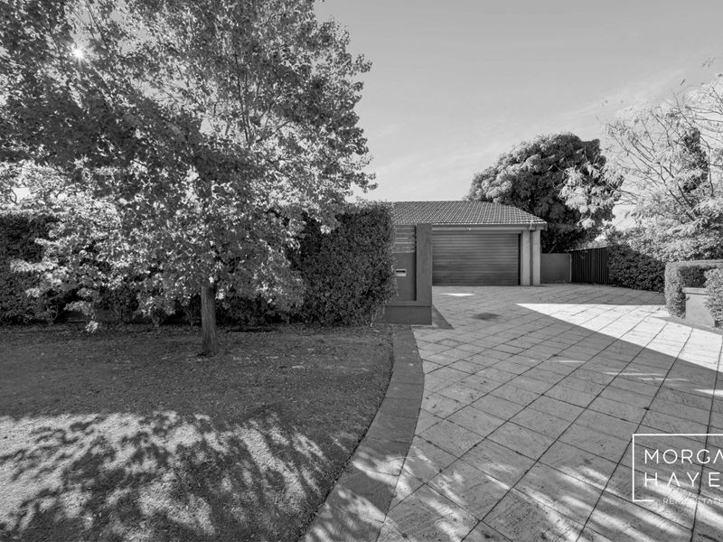 2 Mosaic Street, Shelley