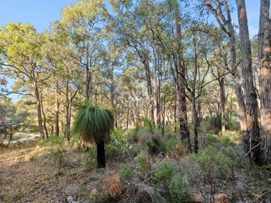 36 Johnston Street, Mount Helena WA 6082