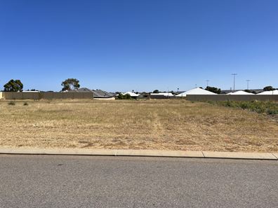 54 Brockagh Drive, Utakarra WA 6530