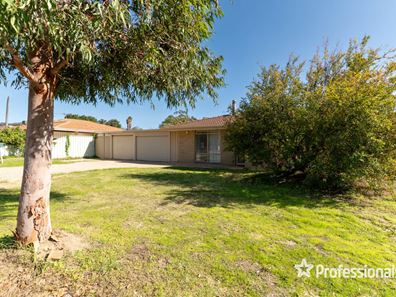 124 Apple Blossom Drive, Mirrabooka WA 6061