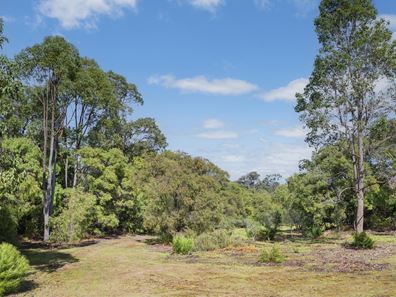 Lot Y/423 Sebbes Road, Forest Grove WA 6286