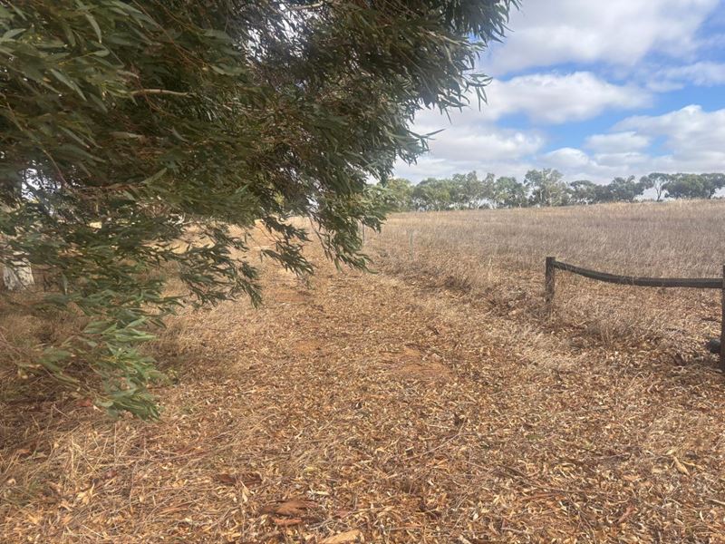 Lot 9678 Geraldton Mount Magnet  Road, Wicherina WA 6532