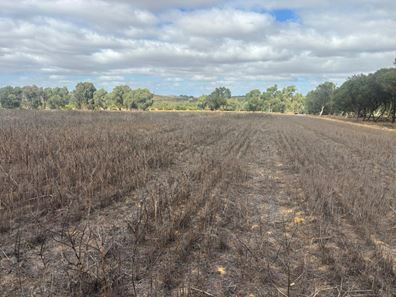 Lot 9678 Geraldton Mount Magnet  Road, Wicherina WA 6532