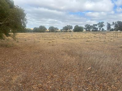 Lot 9678 Geraldton Mount Magnet  Road, Wicherina WA 6532