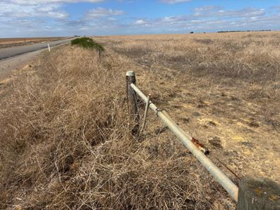 Lot 9678 Geraldton Mount Magnet  Road, Wicherina WA 6532