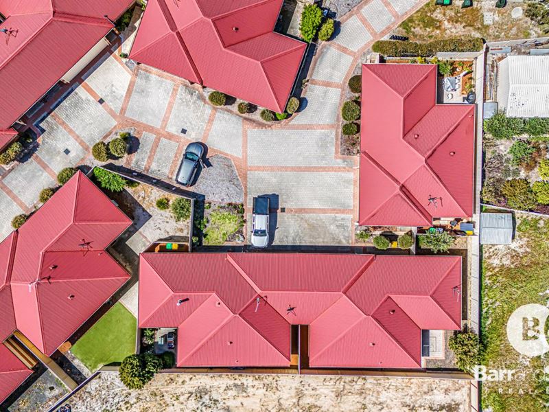 8/8 Ash Mews, Collie