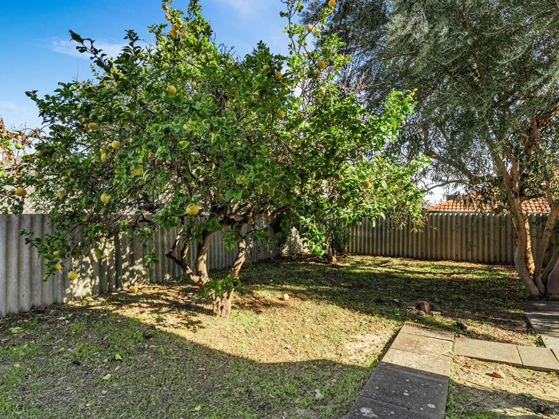 3/23 Murray Road, Palmyra