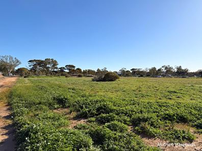 Lot 122 Parkes Street, Burracoppin WA 6421
