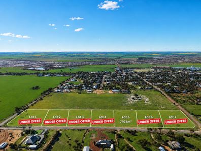 Lot 5 Watts, Cunderdin WA 6407