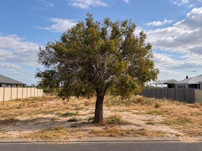 3 Pebble Drive, Geographe WA 6280