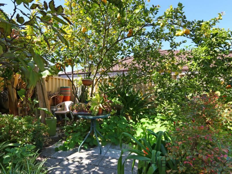 Property and Houses for Sale in Southern River, WA Real Estate