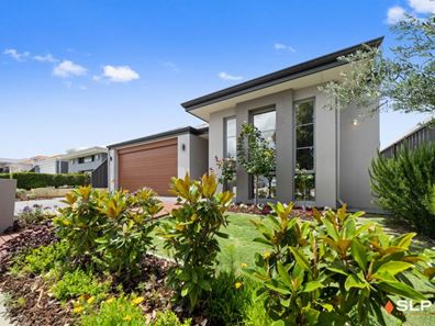 17 Chucklebud Street, Banksia Grove WA 6031