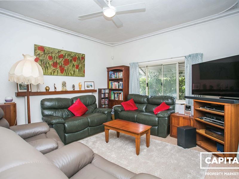 239  Woodside Street,, Doubleview WA 6018