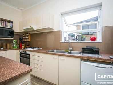 239  Woodside Street,, Doubleview WA 6018