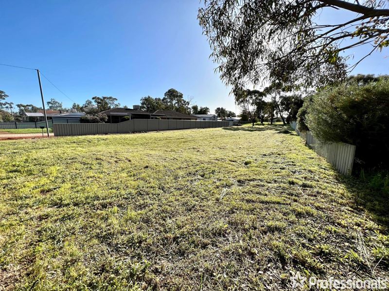 19 Lyon Street, Northam