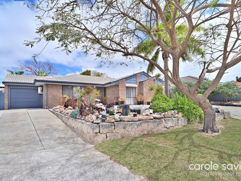 125 Warrandyte Drive, Craigie WA 6025