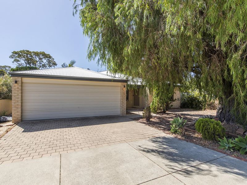 10A Mathew Street, Falcon