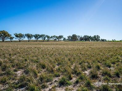 Lot 10 Barrack Road, Tammin WA 6409