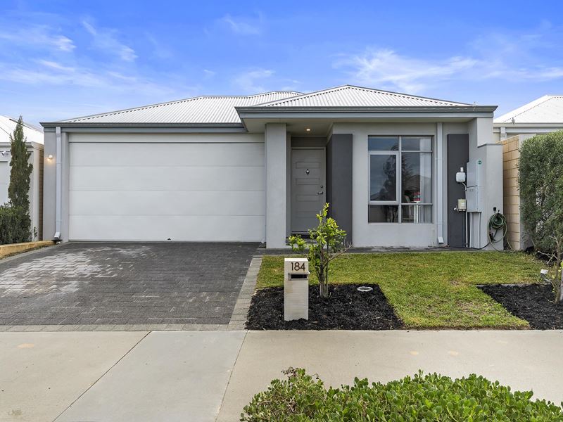 184 Hawksbill Drive, Alkimos