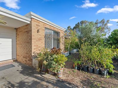 145 Arpenteur Drive, Baldivis WA 6171