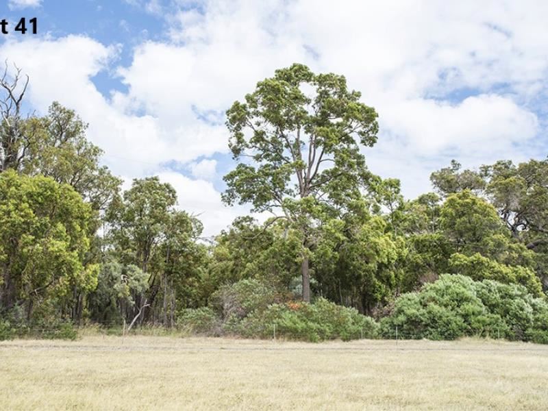 41/ Preston River Rise, Boyanup WA 6237