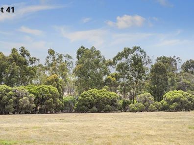 41/ Preston River Rise, Boyanup WA 6237