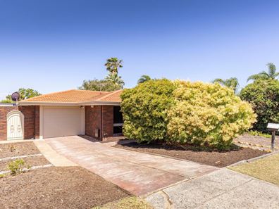 16 Nelligan Avenue, Girrawheen WA 6064