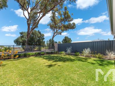 7 Yellowtail Grove, Beeliar WA 6164