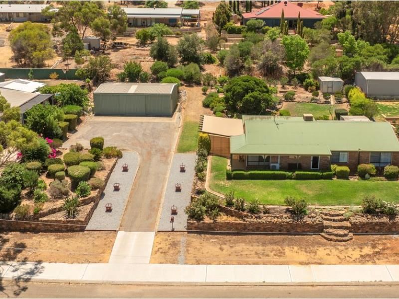 8 Harcourt St, Toodyay WA 6566