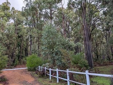 Dwellingup WA 6213