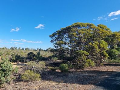 Lot 210,  Seaview  Drive, Karakin WA 6044