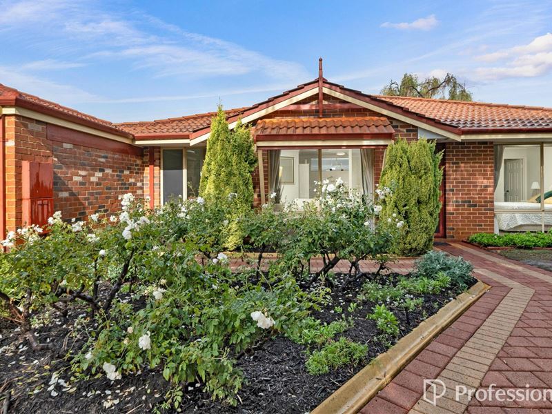 51 Conochie Crescent, Manning