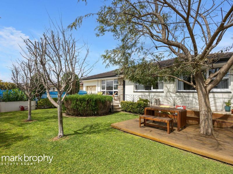 59 Jean Street, Hamilton Hill