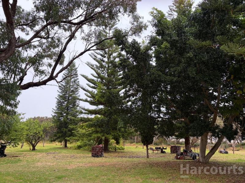 74 Newnham Road, Lake Clifton WA 6215