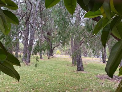 74 Newnham Road, Lake Clifton WA 6215