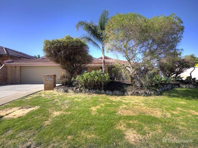 88 The Avenue, Alexander Heights WA 6064