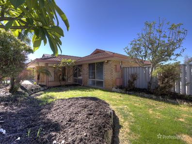88 The Avenue, Alexander Heights WA 6064