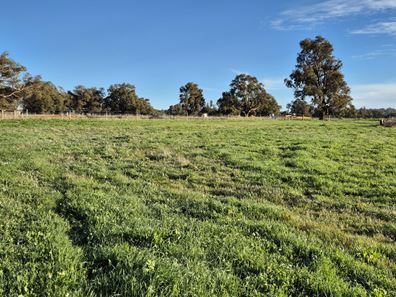 Lot 152,  Warru Road, Ginginup WA 6503