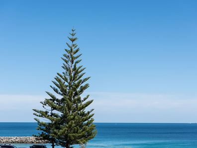 1/110 Marine Parade, Cottesloe WA 6011